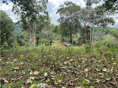 2.14 Acres in Playa Hermosa With Creek, Electricity And Legal Water