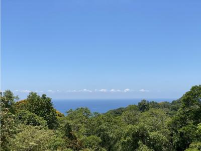 Ocean View Lot in Escaleras, Bahia Ballena