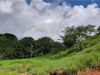 V#449 Espectacular Terreno en Venta en Nandayure/Guanacaste