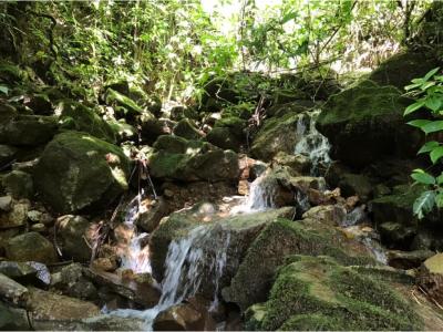 Beautiful semi-mountainous and water-rich property in Guadalupe Rivas